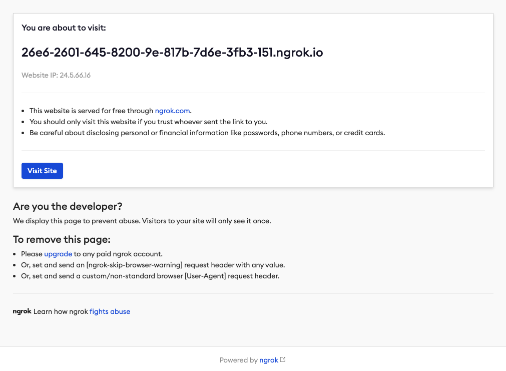 Screenshot of ngrok abuse warning interstitial