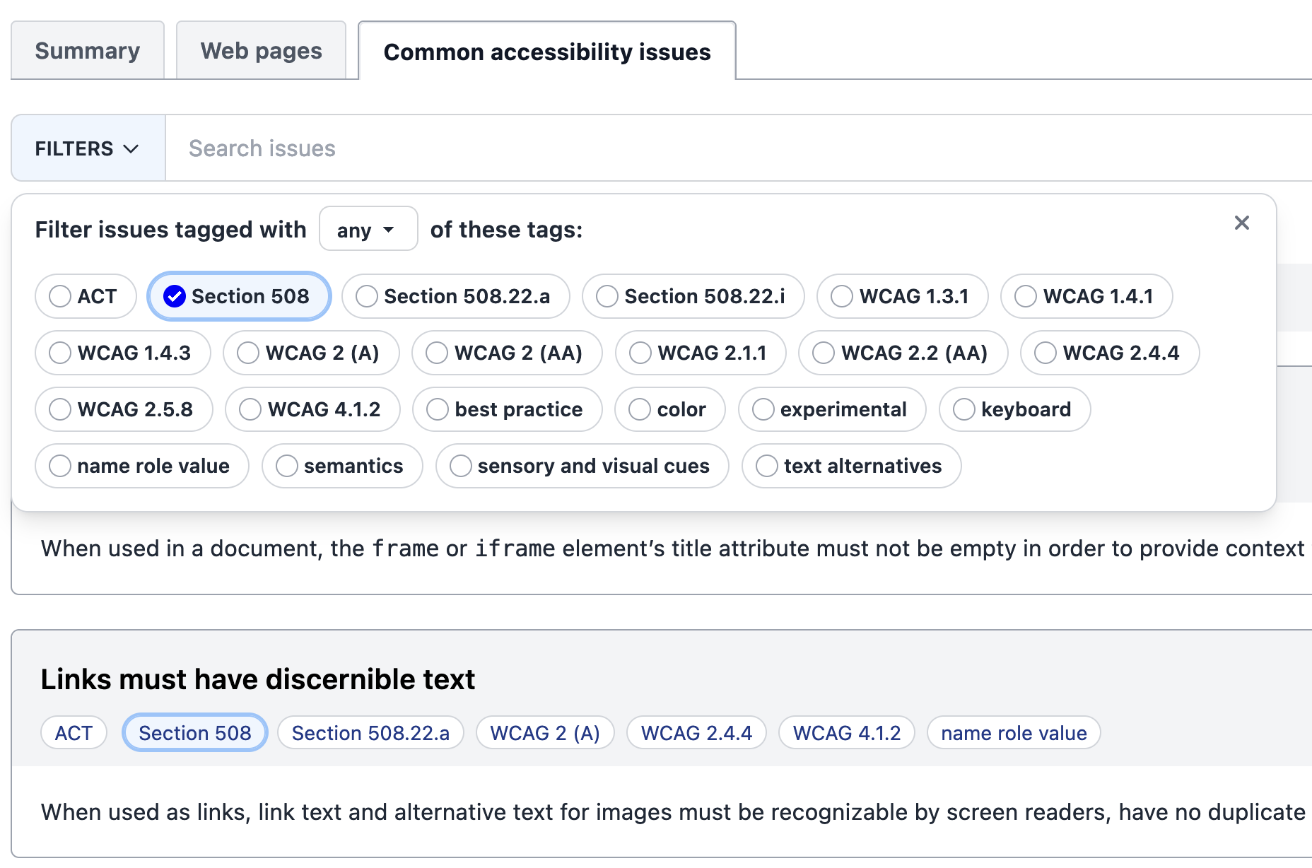 Filtering accessibility issues by tag