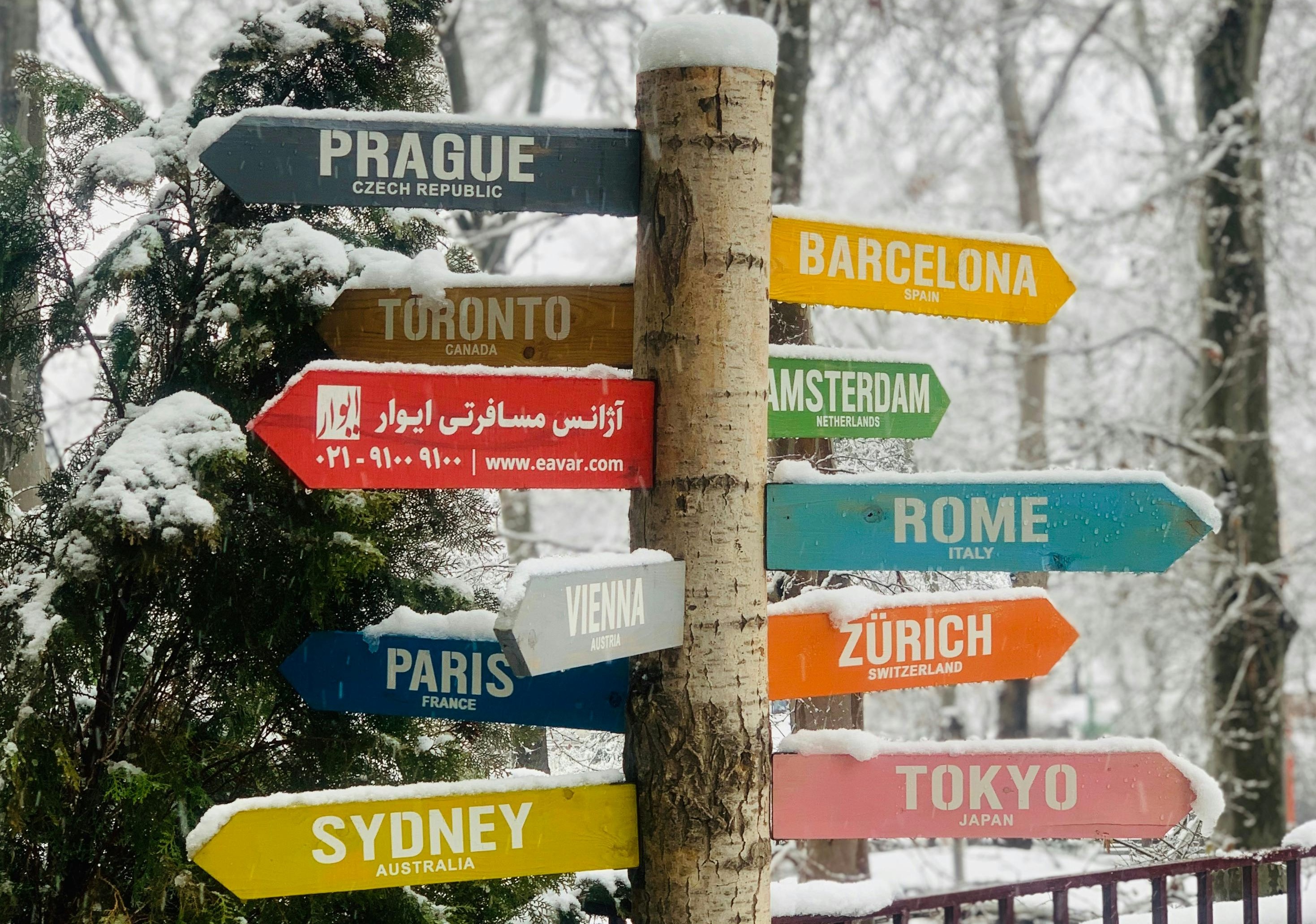 Colorful navigational signages pointing in all directions to different cities: Prague, Barcelona, Toronto, Sydney, Tokyo. The signs are covered with snow and next to a snow-covered tree. Photo by Alireza Soltani